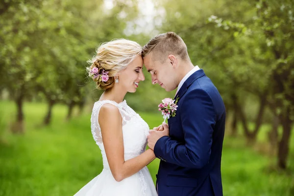 Hermosa pareja de boda —  Fotos de Stock