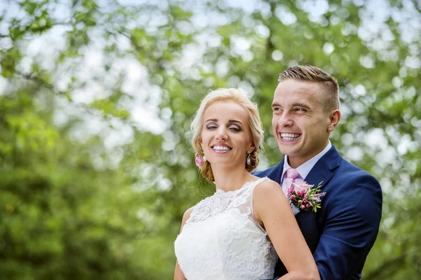 Hermosa pareja de boda — Foto de Stock