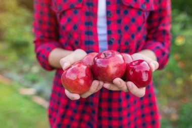 Elma toplayan kadın.