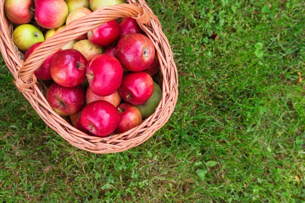 Cesta llena de manzanas —  Fotos de Stock