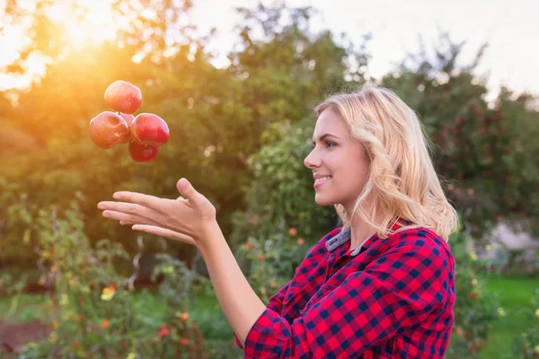 Hermosa mujer cosechando manzanas — Foto de Stock