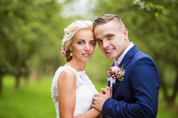 Schönes Hochzeitspaar — Stockfoto