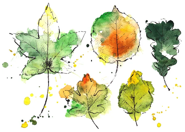 Feuilles d'automne dessinées main — Image vectorielle