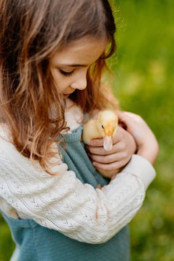 Sevimli kız sarı yavru ördeğe sarılıyor.