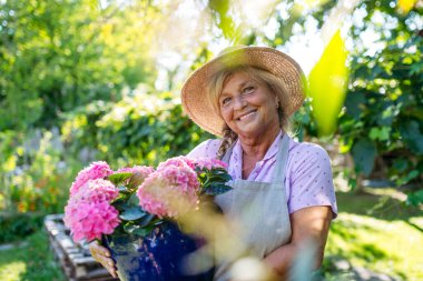 Bahçede elinde pembe çiçeklerle gülümseyen bahçıvan.