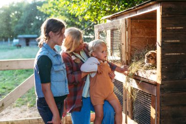 Güneşli bir çiftlikte tavşan ziyareti yapan bir aile. İki çocuklu anne..
