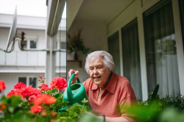 Balkonda çiçek sulayan yaşlı bir kadın. Çiçeklerle ilgilenmek.