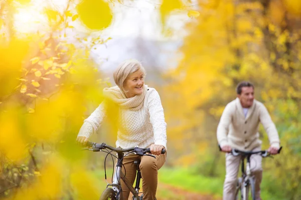 Senior koppel paardrijden fietsen — Stockfoto