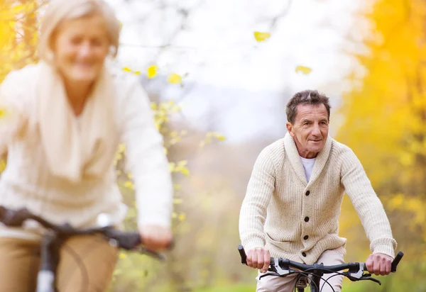 Senior koppel paardrijden fietsen — Stockfoto