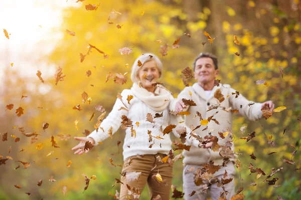 Senior couple having fun in autumn — Stock Photo, Image