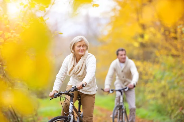 Pareja mayor montando bicicletas — Foto de Stock