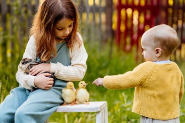 Çocuklar bahçede yavru hayvanlarla vakit geçiriyorlar. Çiftlikte hayat.