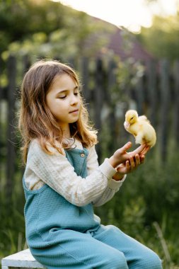 Avuçlarında küçük sarı ördek yavrusu tutan kız.