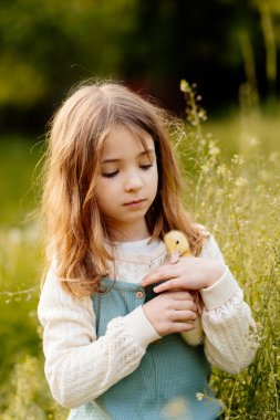 Avuçlarında küçük sarı ördek yavrusu tutan kız.