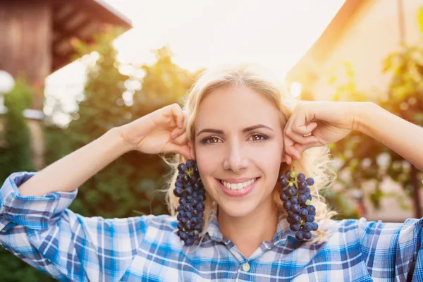 Hermosa mujer cosechando uvas — Foto de Stock