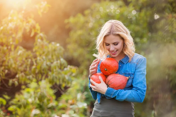 Beautiful woman harvesting pumpkins — Stock Photo, Image