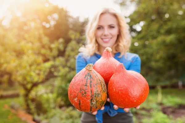 Beautiful woman harvesting pumpkins — Stock Photo, Image