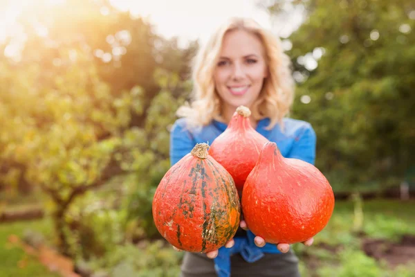 Hermosa mujer cosechando calabazas — Foto de Stock