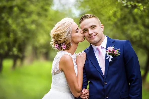 Beautiful wedding couple — Stock Photo, Image