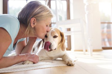 Onu köpek ile kadın kıdemli