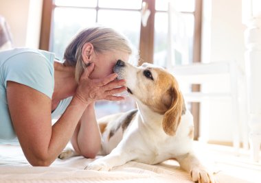 Onu köpek ile kadın kıdemli