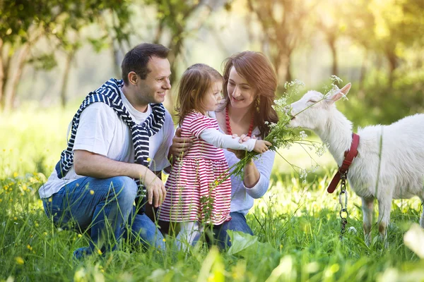 Happy family in nature — Stock Photo, Image