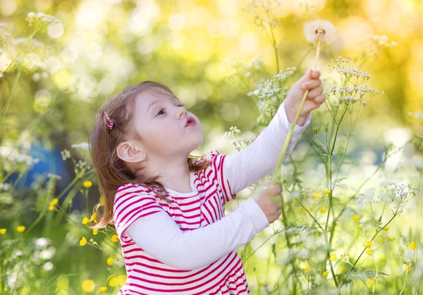 Klein meisje in de natuur — Stockfoto