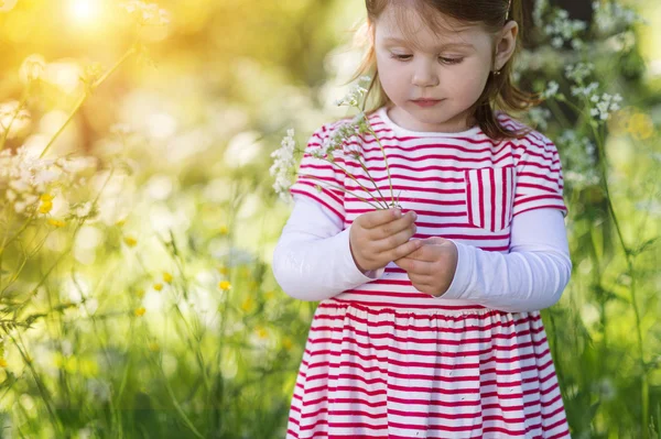 Маленькая девочка в природе — стоковое фото