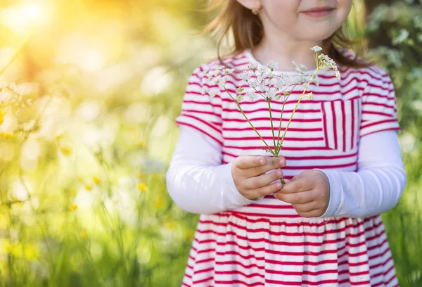 Little girl in nature — Stock Photo, Image