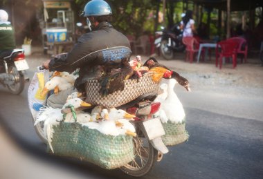 Vietnamese man on motorcycle clipart