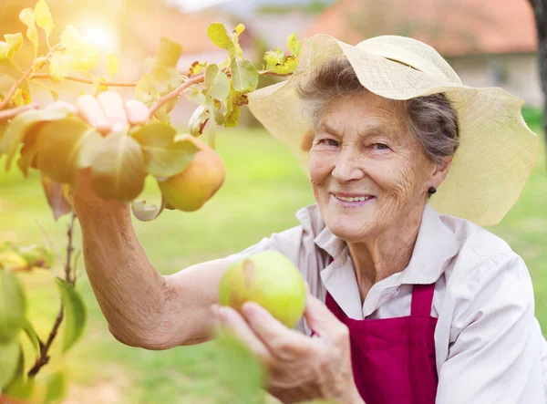 Senior vrouw in haar tuin — Stockfoto