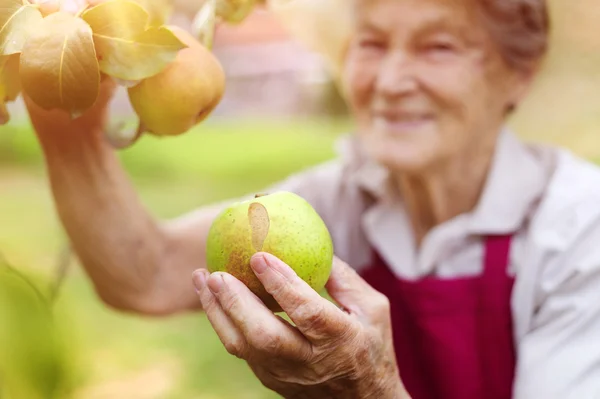 Senior vrouw in haar tuin — Stockfoto