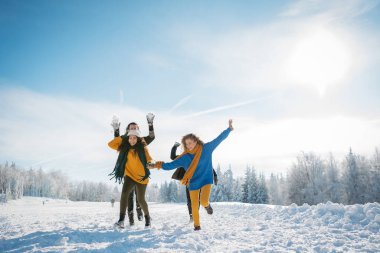 Bir grup arkadaş kışın karlı doğada eğleniyorlar..