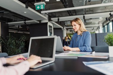 Modern ofiste proje belgeleri üzerinde çalışan iki bayan meslektaşım. Kadın takım çalışması..