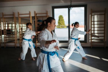 Dövüş sanatları stüdyosunda, spor salonunda karate yapan kadınlar..