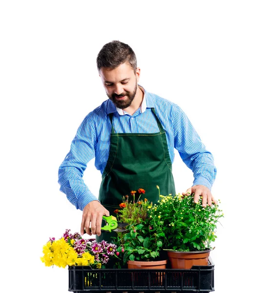 Genç yakışıklı bahçıvan — Stok fotoğraf