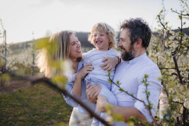 Çiçek açan meyve bahçesinde yürümekte olan küçük oğlu olan ebeveynler. Bahar mevsimi