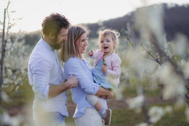 Çiçek açan meyve bahçesinde küçük kızı olan ebeveynler. Bahar mevsimi