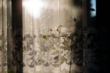 Güneş ışığı penceredeki eski dantel perdede parlıyor. Dantelli perde örtüsü penceresi.