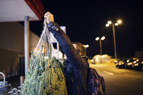 Man with christmas tree