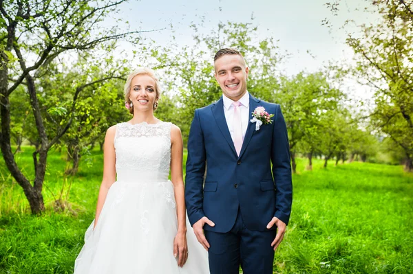 Hermosa pareja de boda — Foto de Stock