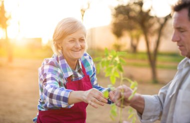 Kendi Bahçe son sınıfta