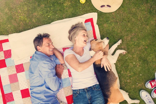 Seniors having a picnic — Stock Photo, Image