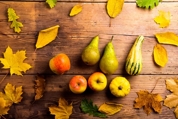 Composición de la hoja de otoño . —  Fotos de Stock