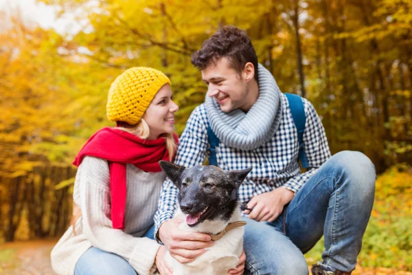 Bella coppia nella natura autunnale — Foto Stock