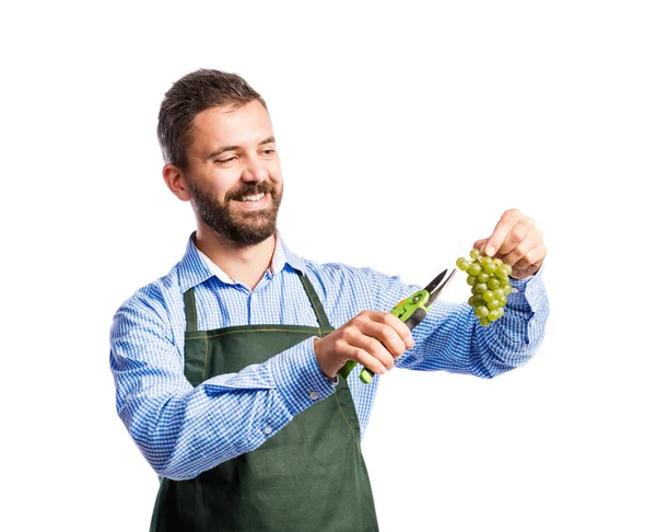 Young handsome gardener — Stock Photo, Image