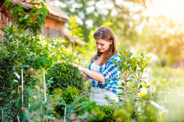 Schöne junge Frau bei der Gartenarbeit — Stockfoto