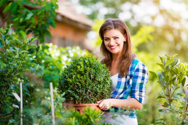 Mooie jonge vrouw tuinieren — Stockfoto