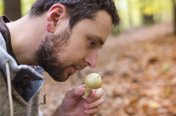 Uomo raccolta funghi — Foto Stock