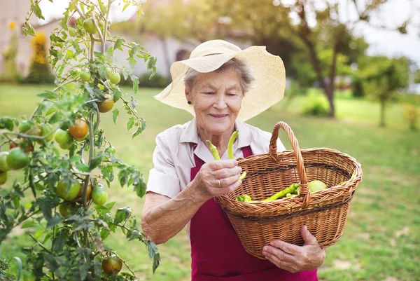 Donna anziana nel suo giardino — Foto Stock